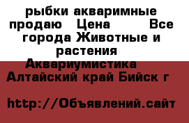 рыбки акваримные продаю › Цена ­ 30 - Все города Животные и растения » Аквариумистика   . Алтайский край,Бийск г.